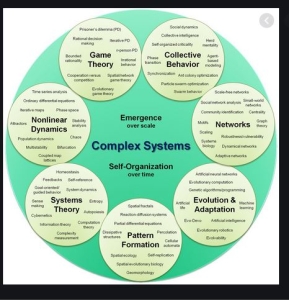 Developing personal awareness of complex organizational systems